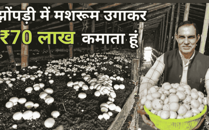 Science behind mushroom farming business - earn 1Lakh/month